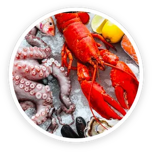 Seafood and fish sources used for hydrolyzed collagen